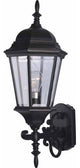 1-Light Black Exterior Wall Mount