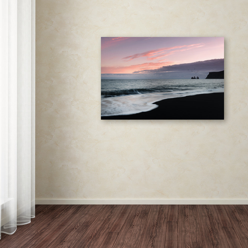 Philippe Sainte-Laudy 'Vik Birds at Sunset' Canvas Art