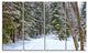 Snowy Road in the Forest, Landscape Canvas Art Print, 48"x28", 4 Panels