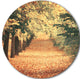 Autumn Forest With Walking Path, Modern Forest Disc Metal Wall Art, 36"