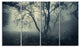 "Forest With Green Fog in Morning" Landscape Photo Wall Art, 4 Panels, 48"x28"