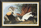 "Eider Duck" Framed Canvas Giclee by John James Audubon, 36x25"