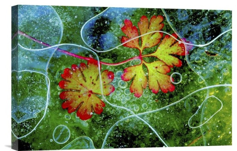 "Thaw" Stretched Canvas Giclee by Andres Miguel Dominguez, 18x12"
