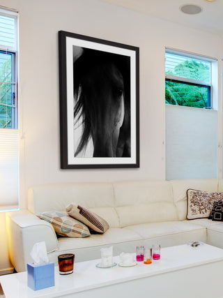 "Shadow Horse" Framed Painting Print, 16x24