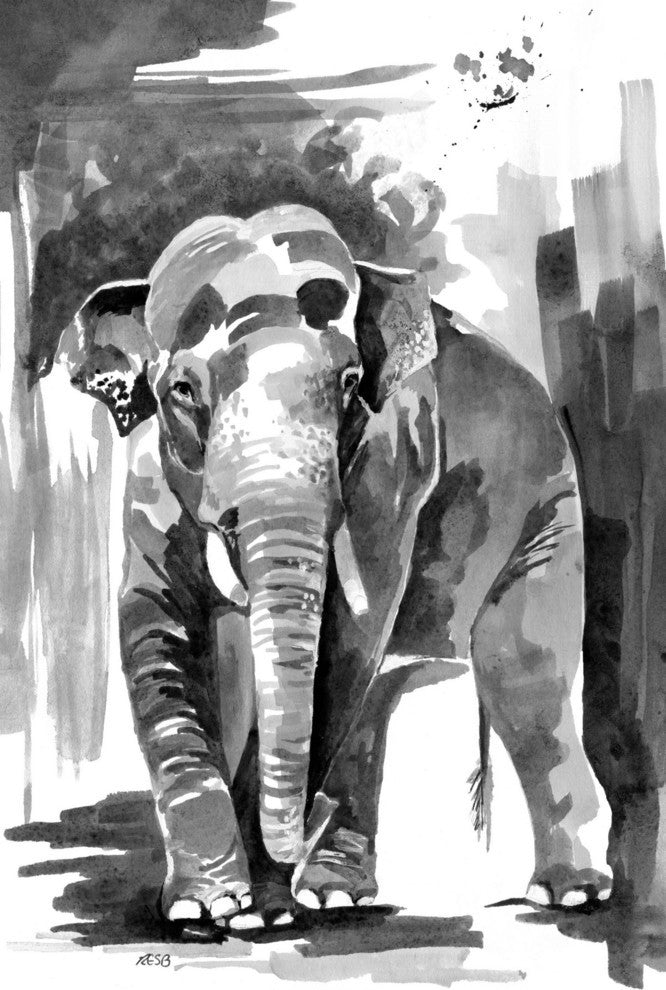 "Asian Elephant" Print on Canvas by Rachel Byler