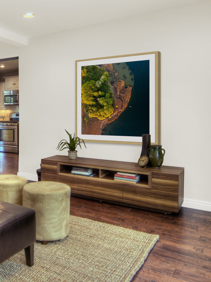 "Trees from Above" Framed Painting Print by Karolis Janulis