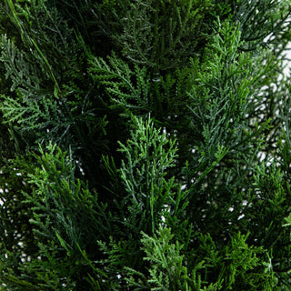 Close-up foliage texture; lacks full product context or background