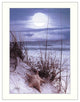 "The Seashore" By John Jones, Printed Wall Art, Ready To Hang, White Frame