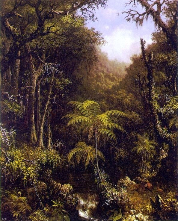 Martin Johnson Heade Brazilian Forest Wall Decal