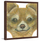 "Chihuahua" Framed Painting Print, 24"x24"