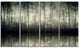 "Beautiful Gray Forest in Germany" Photograph Print, 4 Panels, 48"x28"