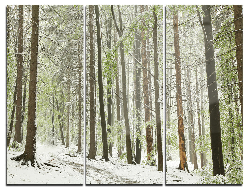 "Spring Beech Forest Scenery" Photo Metal Wall Art, 3 Panels, 36"x28"