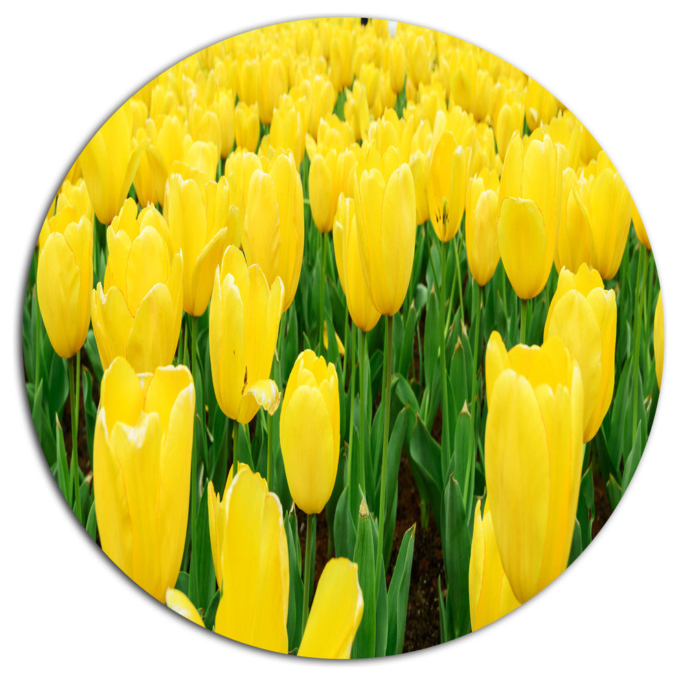Bright Tulip Flowers In Garden, Flower Round Wall Art, 23"