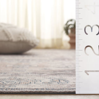 Safavieh Arizona Machine-Washable Collection ARZ249 Rug, Beige/Grey, 2'6"x8'