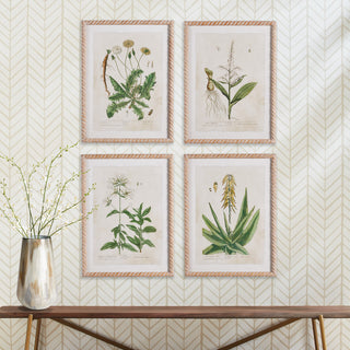 4-Piece Vintage Botanical Study Set