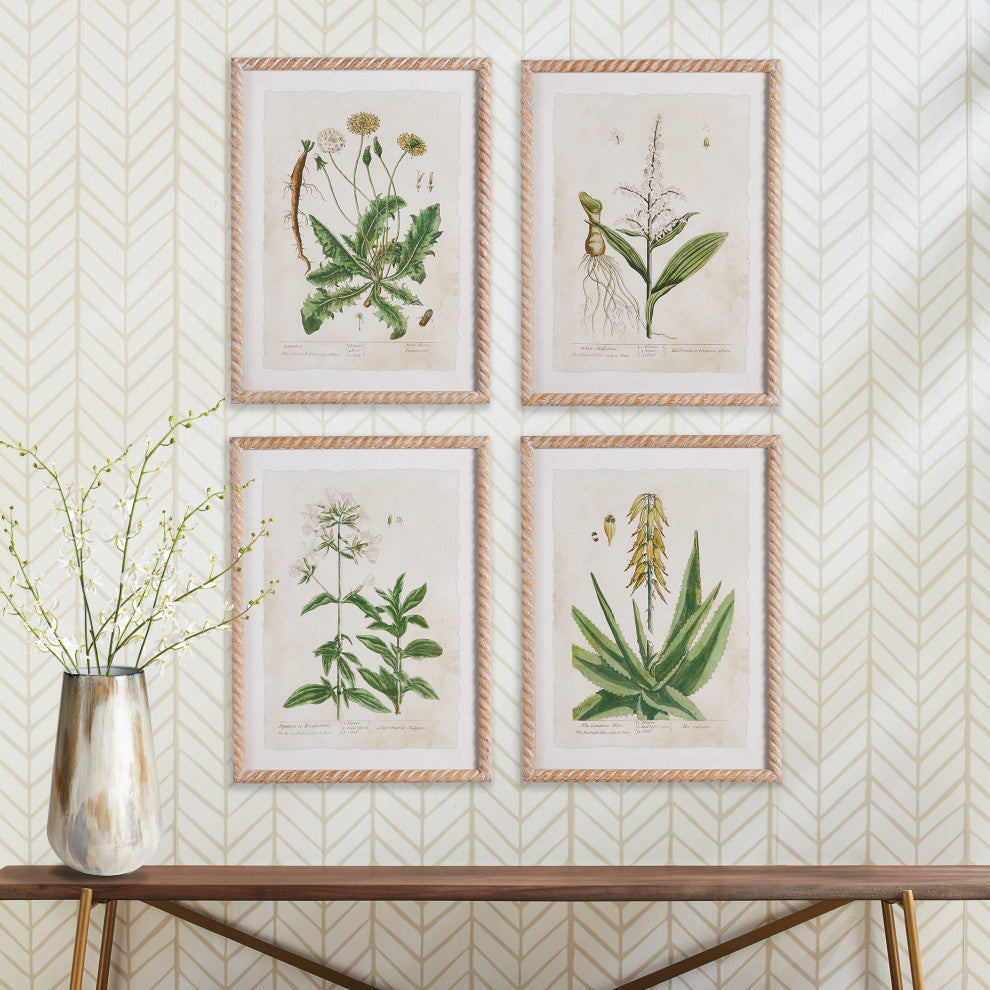 4-Piece Vintage Botanical Study Set