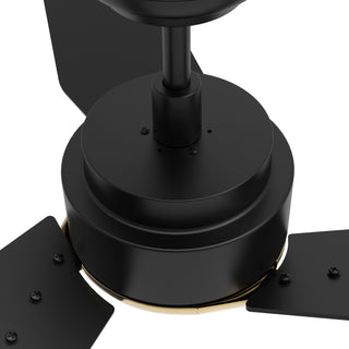 CARRO 52'' Smart DC Ceiling Fan with Remote Dimmable LED Light, Black/Gold