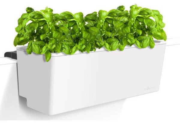 Glowpear Mini Rail