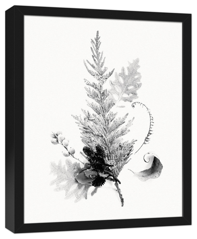 Black and White Transparent Fern 16x20 Black Framed Canvas