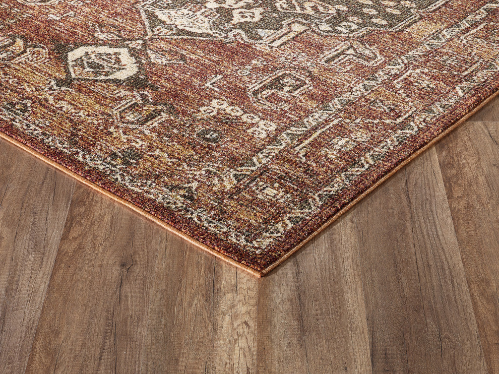 Abani Mesa MES120A Orange Rust Medallion Distressed Area Rug