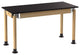 NPS Signature Science Lab Table, Oak, 24 x 54, Chemical Resistant Top