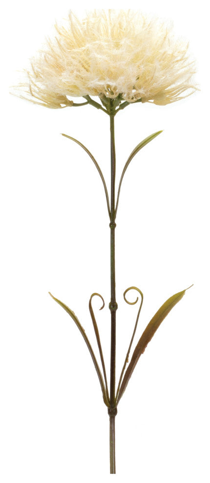 Puff Stem, Set of 6