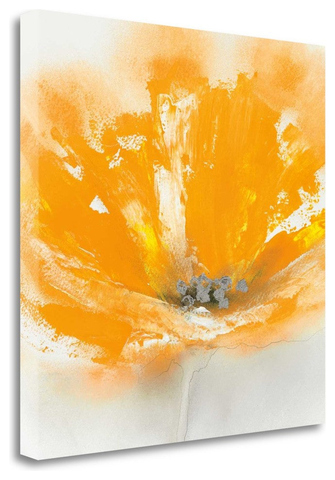 "Wild Orange Sherbet II" By J.P. Prior, Giclee Print on Gallery Wrap Canvas