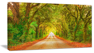 "Fall Greenery and Road Straight Ahead" Forest Wall Art, 1 Panel, 60"x28"