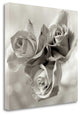 "Florison - 36" By Alan Blaustein, Giclee Print on Gallery Wrap Canvas