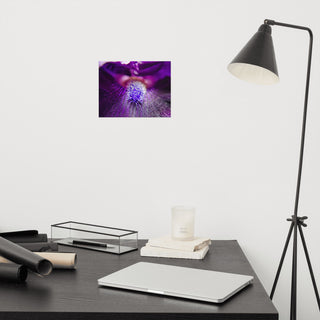 Eye of Iris Nature Photography, Floral Unframed Wall Art Print, 8" X 10"