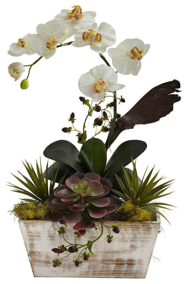Orchid and Succulent Garden With White Wash Planter