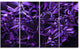Purple Crystal Texture Design, Abstract Canvas Art Print, 48"x28", 4 Panels
