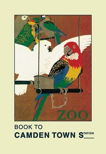 The London Zoo: Exotic Birds - Framed Paper Poster 20" x 30"