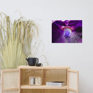 Eye of Iris Nature Photography, Floral Unframed Wall Art Print, 18" X 24"