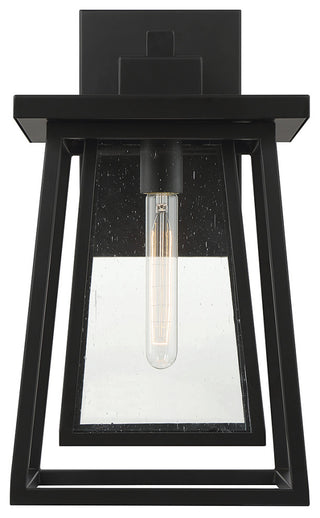Denver 1-Light Outdoor Wall Lantern, Matte Black