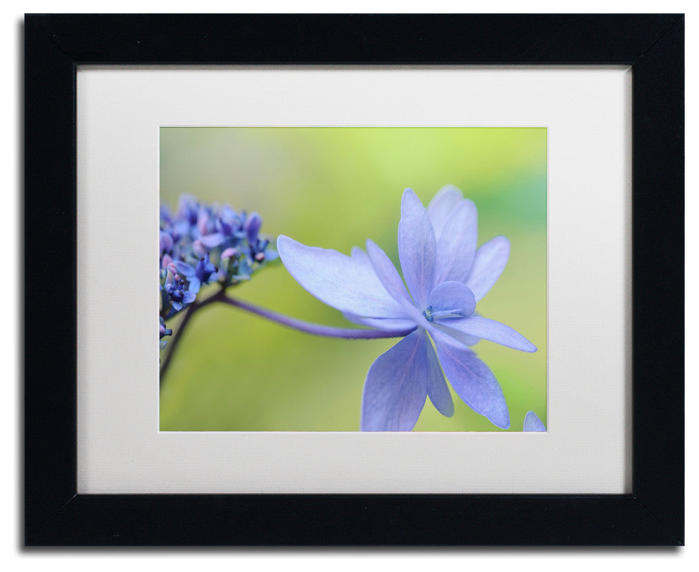 Cora Niele 'Blue Hydrangea' Matted Framed Art
