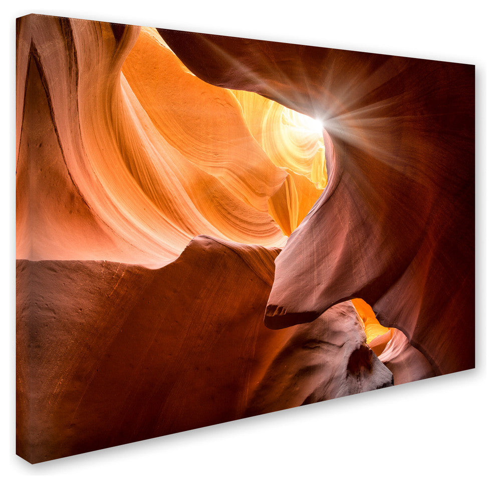 'Searching Light III' Canvas Art by Moises Levy