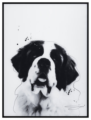 "Saint Bernard" Black and White Pet Art on Printed Glass with Anodized Frame