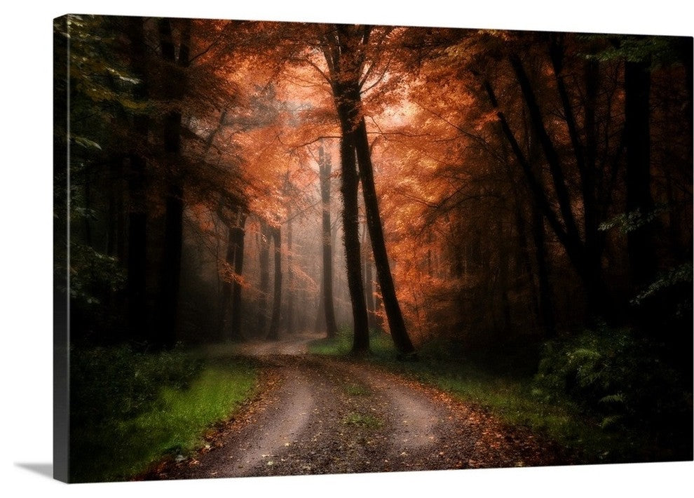 "In My Dreams " Wrapped Canvas Art Print, 48"x32"x1.5"