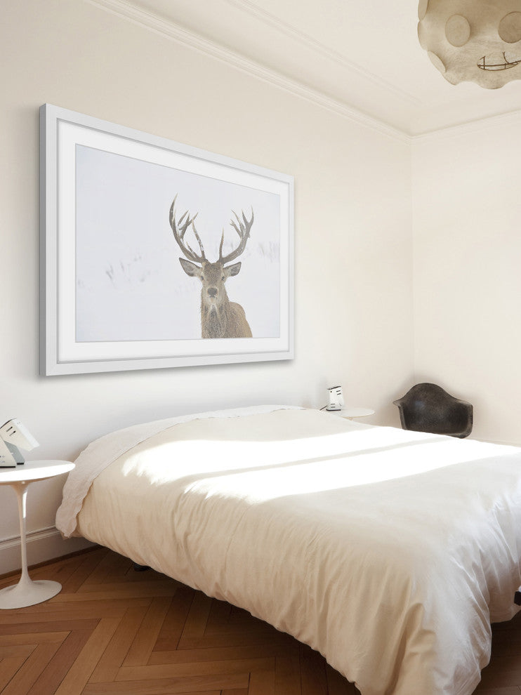 Marmont Hill, "Buck Stare" Framed Painting Print, 30x20