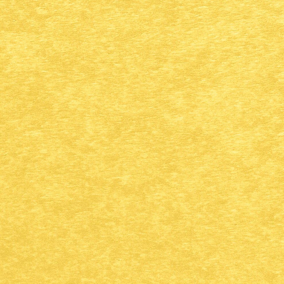 Haven Modern Side Chair, Sunbeam Yellow