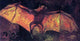 Vincent Van Gogh Stuffed Bat, 15"x30" Wall Decal