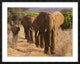 "Herd of African Elephants, Kenya" Framed Digital Print by Anonymous, 48x38"
