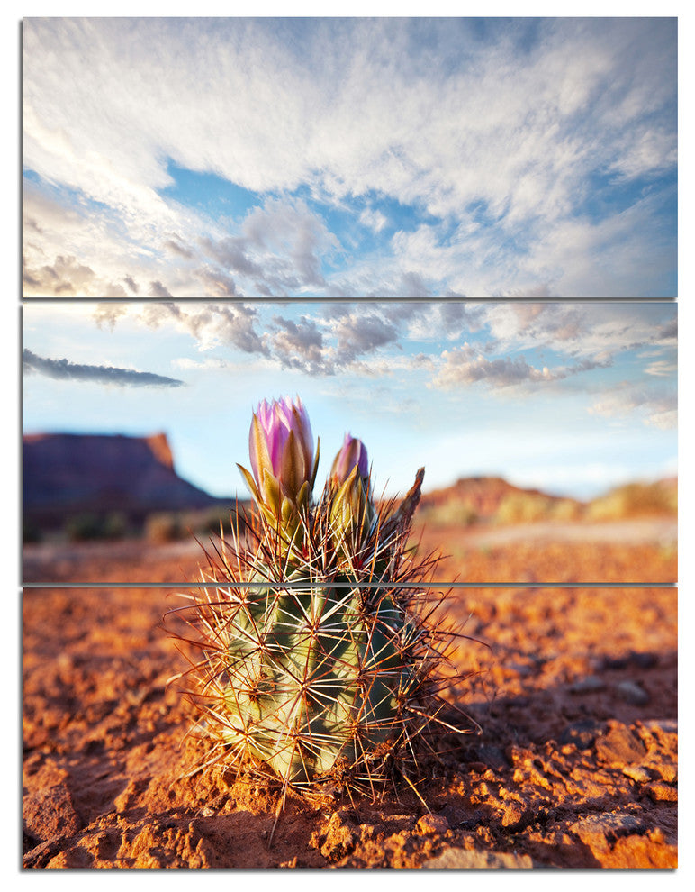 Large Cactus under Cloudy Sky, Floral Triptych Canvas Art Print, 28x36, 3 Panels