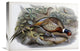 "Chinese Ring-Necked Pheasant" Artwork, 22"x15"