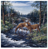 Jeff Tift 'Peaceful Morning' Canvas Art, 18"x18"