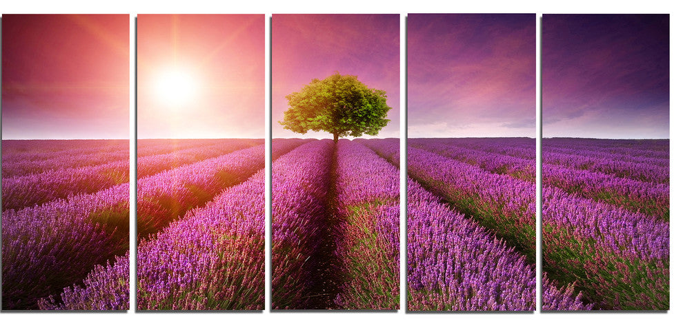Purple Sky over Stunning Lavender Field, Floral Canvas Print, 60"x28", 5 Panels