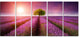 Purple Sky over Stunning Lavender Field, Floral Canvas Print, 60"x28", 5 Panels