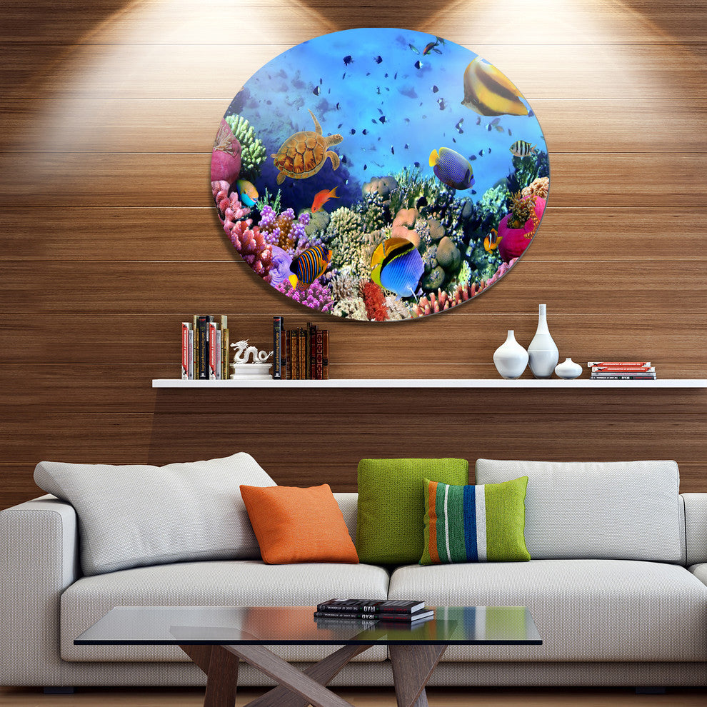Coral Colony On Reef Egypt, Animal Disc Metal Artwork, 23"