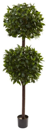 Sweet Bay Double Ball Topiary Tree, 6'